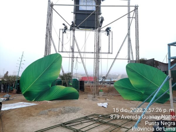 Proyecto especial - Image 4